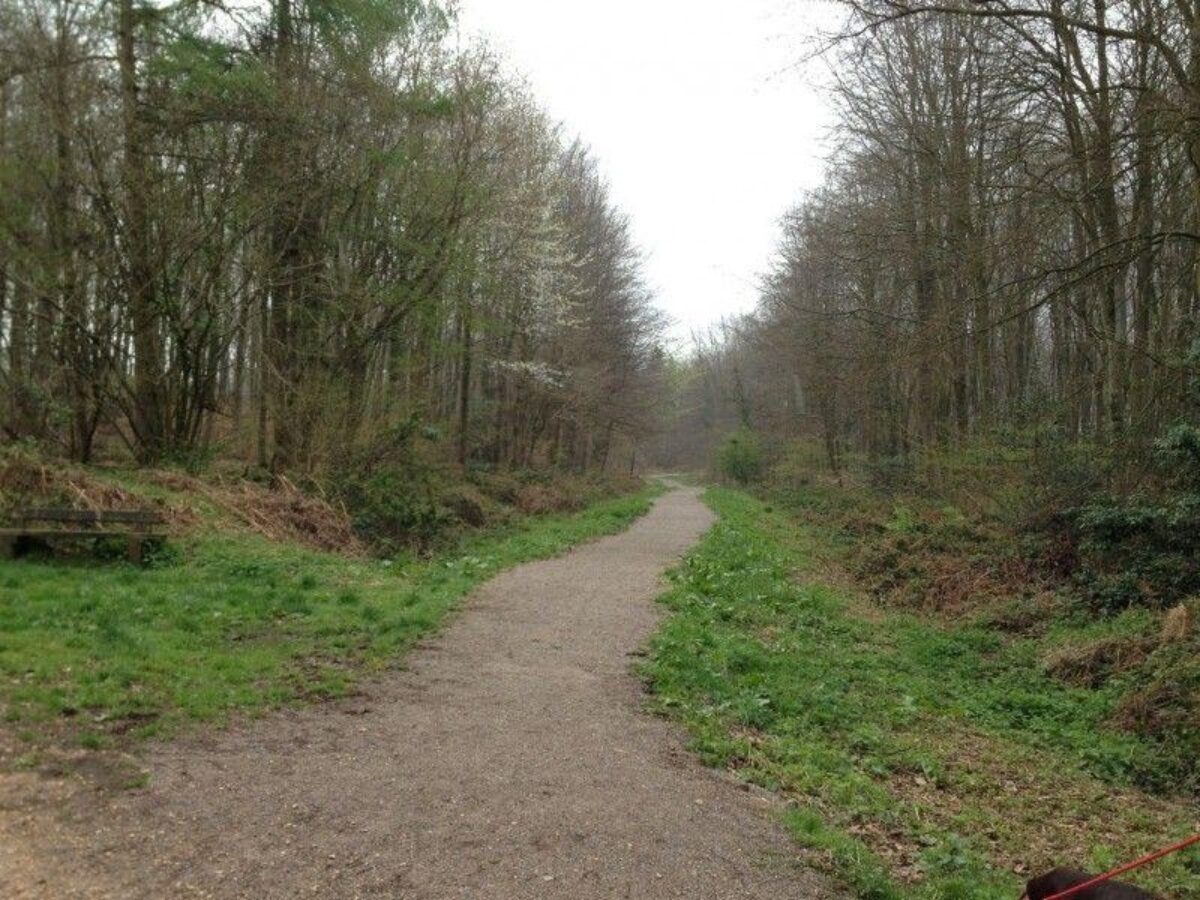 Stoke Park Wood large photo 6