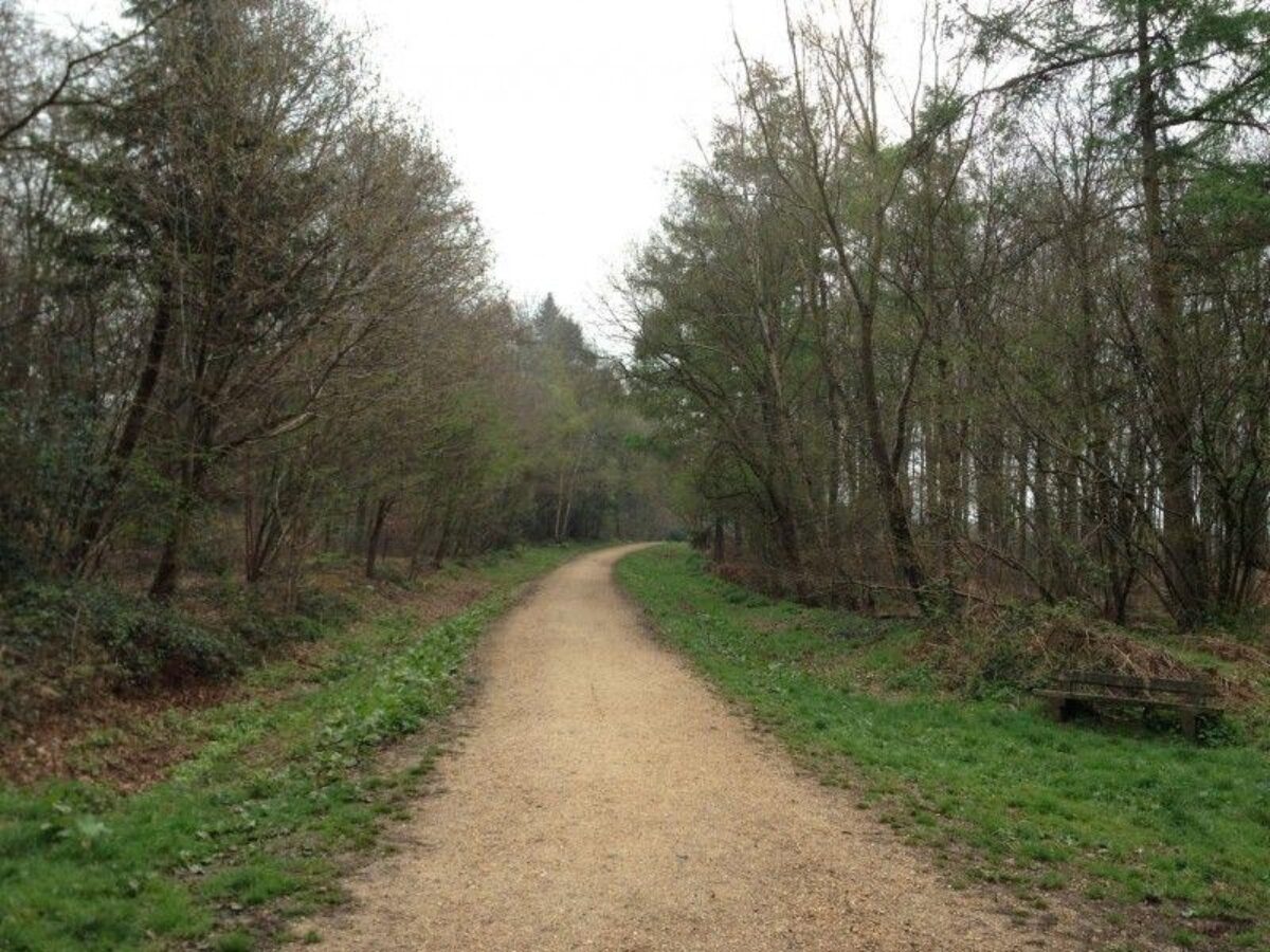 Stoke Park Wood large photo 7