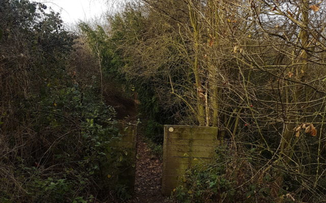 Stoneycliffe Wood and Coxley Woods Dog walk in Yorkshire (West)