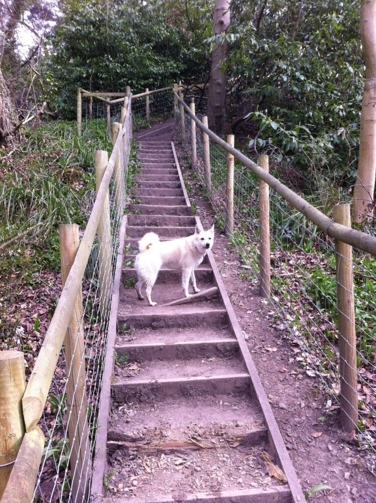 Styal Park / Bollin Trail large photo 2