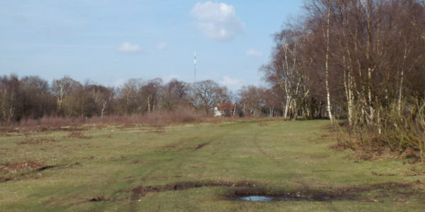 Dog walk at Kingsbury Water Park - Walkiees