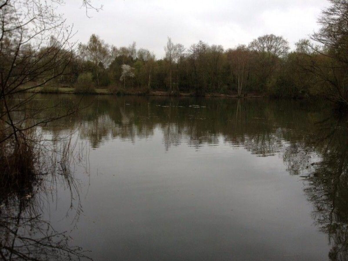 Swanwick Nature Reserve large photo 1