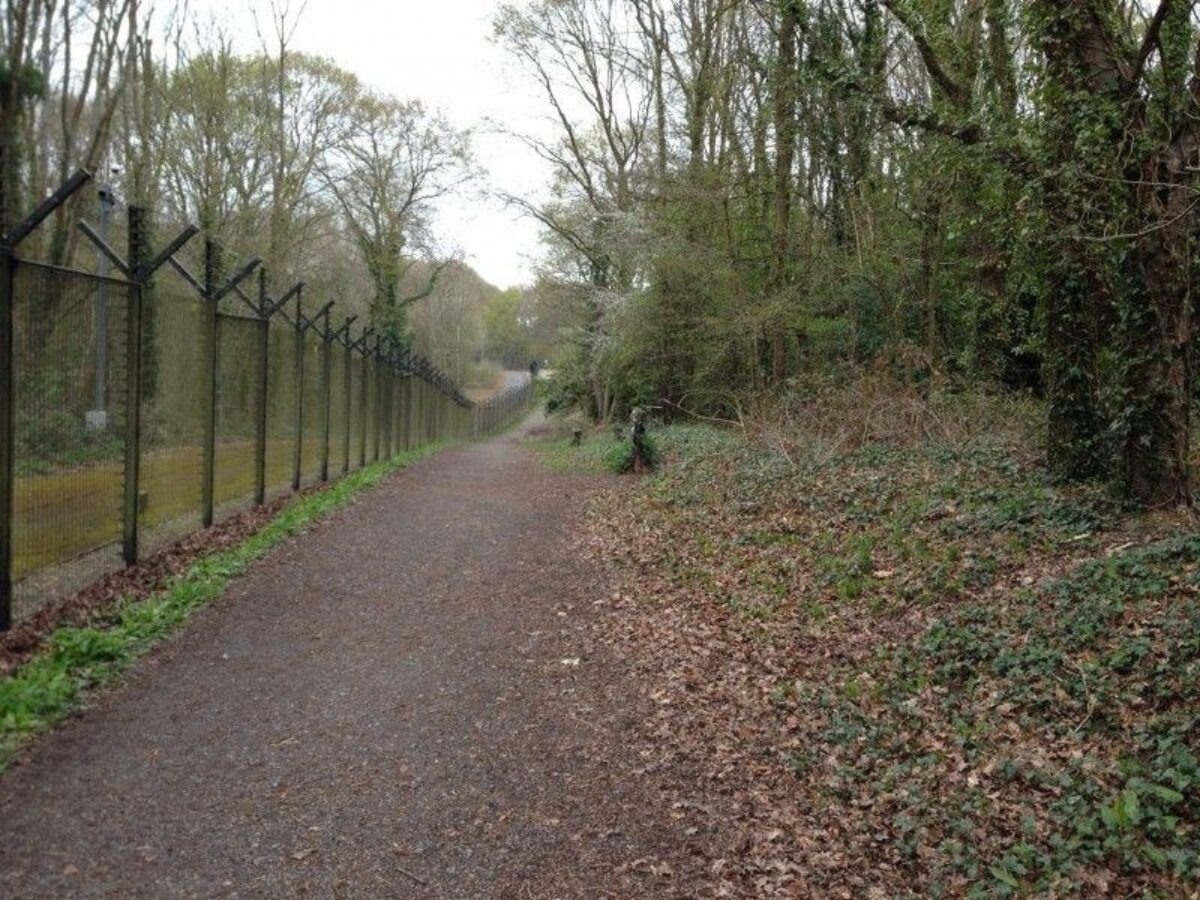 Swanwick Nature Reserve large photo 4