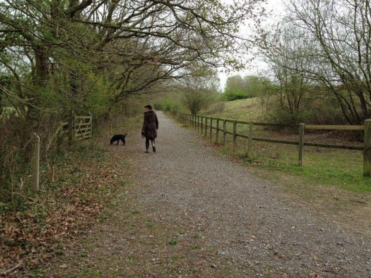 Swanwick Nature Reserve large photo 5