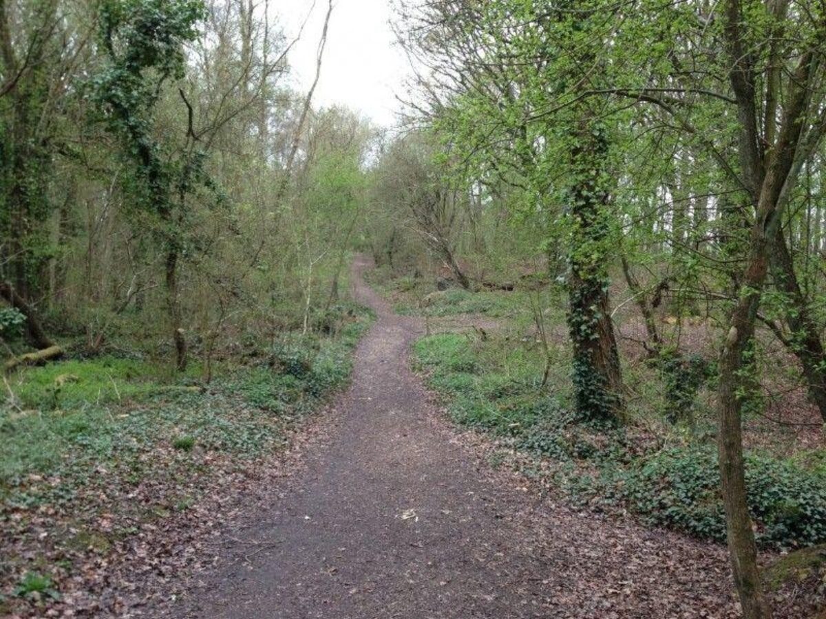 Swanwick Nature Reserve large photo 6