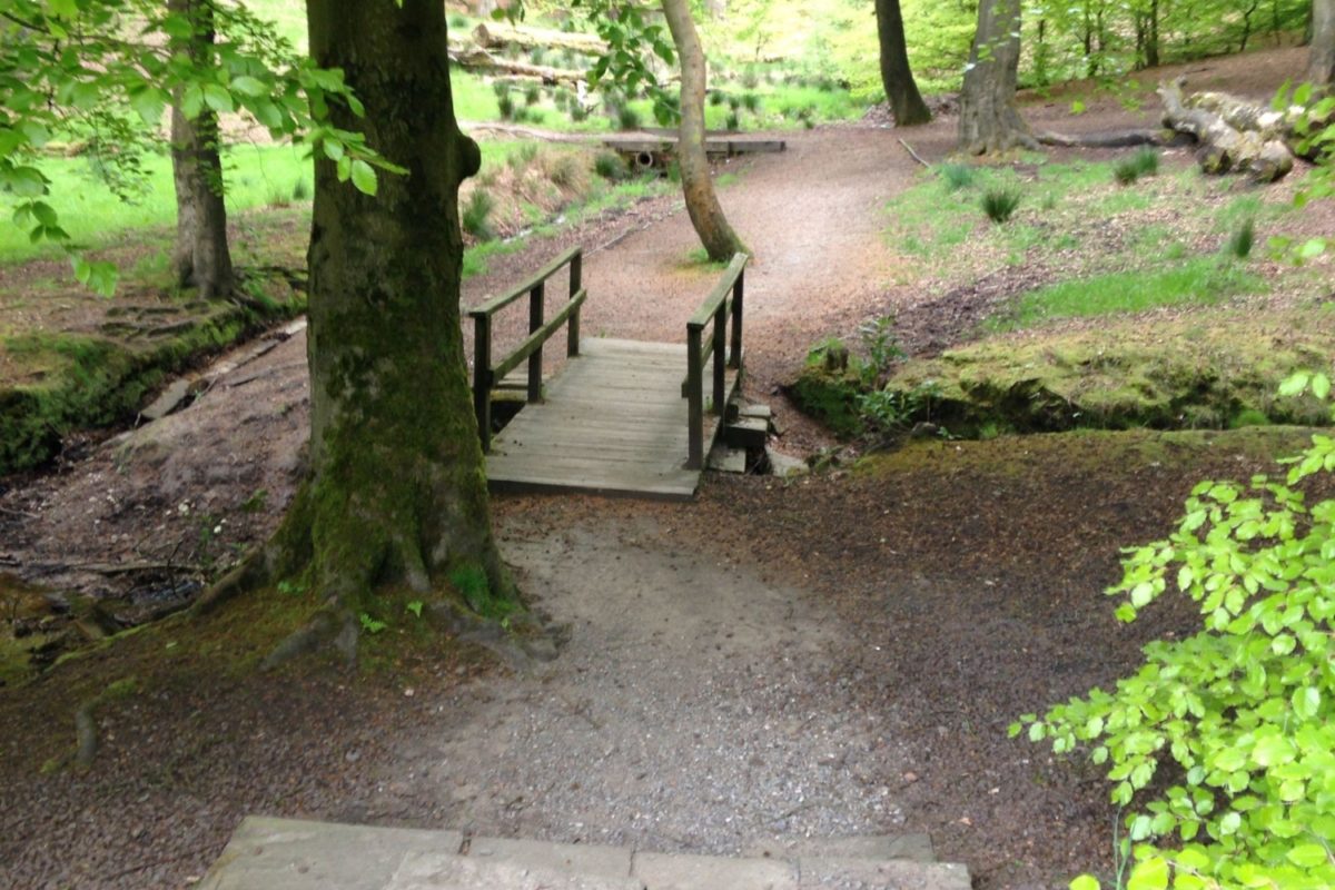 Dog walk at Tandle Hill National Park · Lancashire · Walkiees