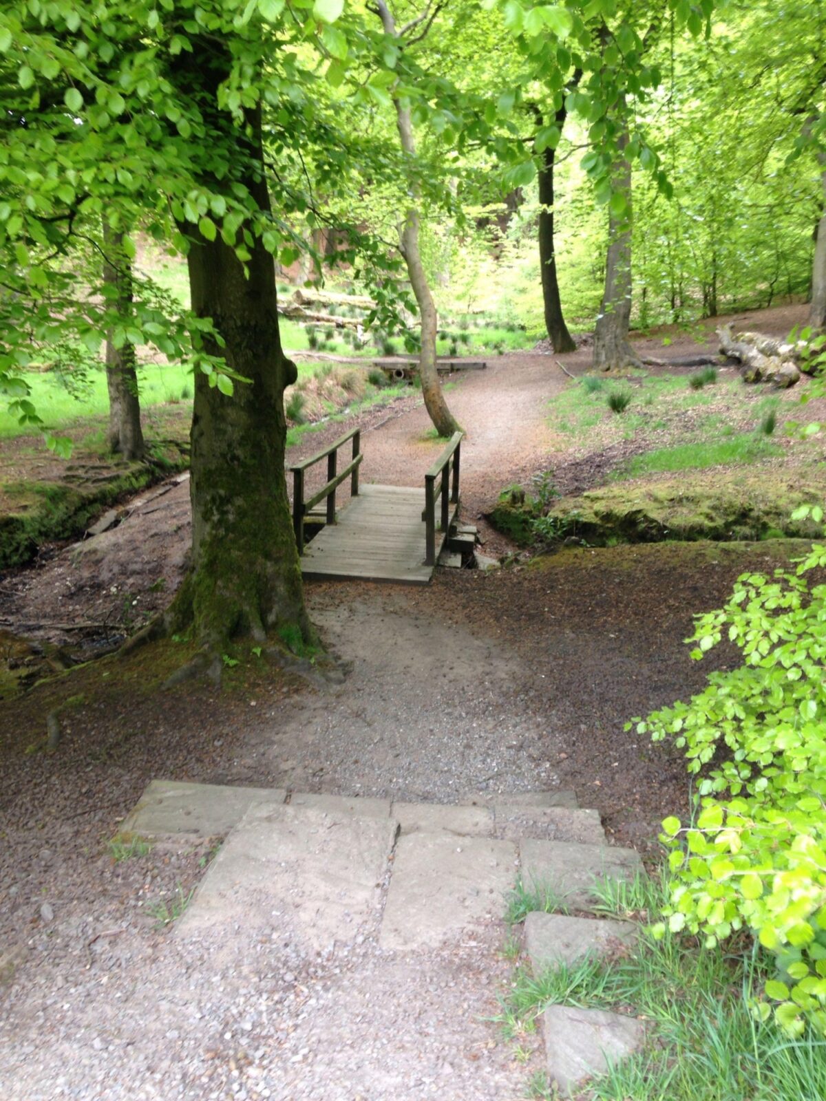 Tandle Hill National Park large photo 1