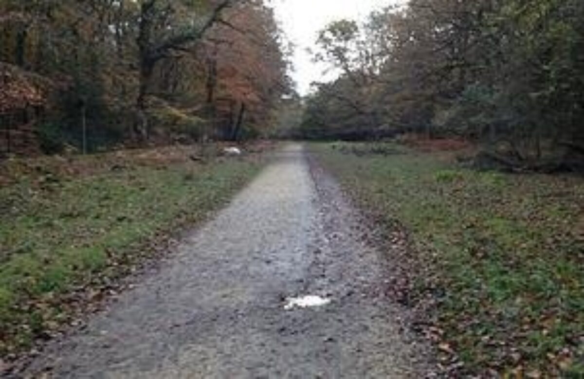 The Crown Stirrup Pub Circular Forest Walk large photo 3