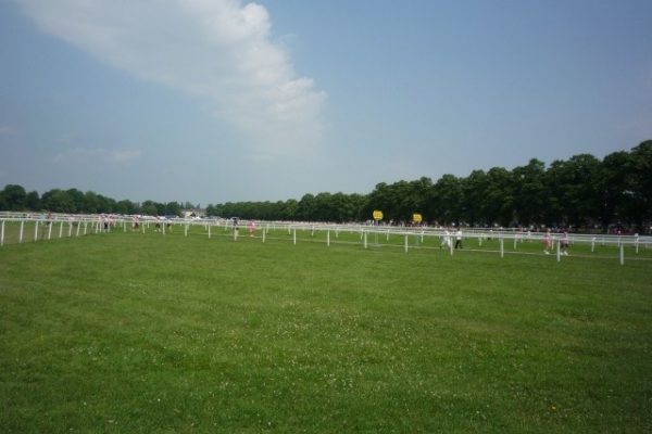 The Knavesmire (York Racecourse)photo