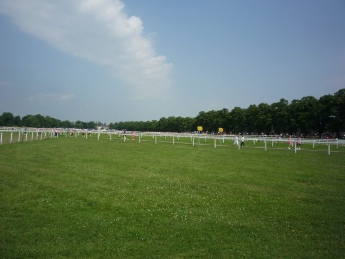 The Knavesmire (York Racecourse) large photo 1