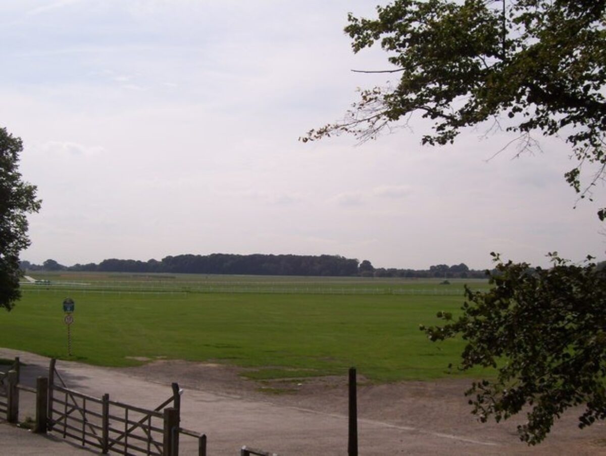 The Knavesmire (York Racecourse) large photo 2