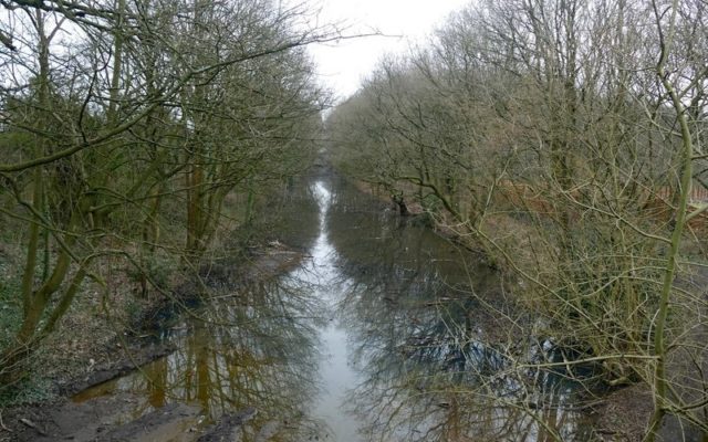 The Loopline, Tyldesley Dog walk in Manchester (Greater)