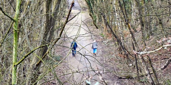 The Loopline, Tyldesley