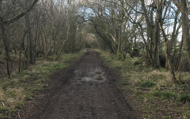 The Outskirts of Elmdon Dog walk in Essex