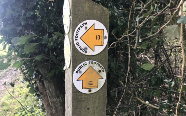 The Outskirts of Elmdon Dog walk in Essex