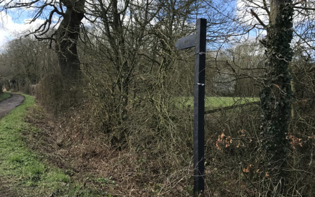 The Outskirts of Elmdon Dog walk in Essex