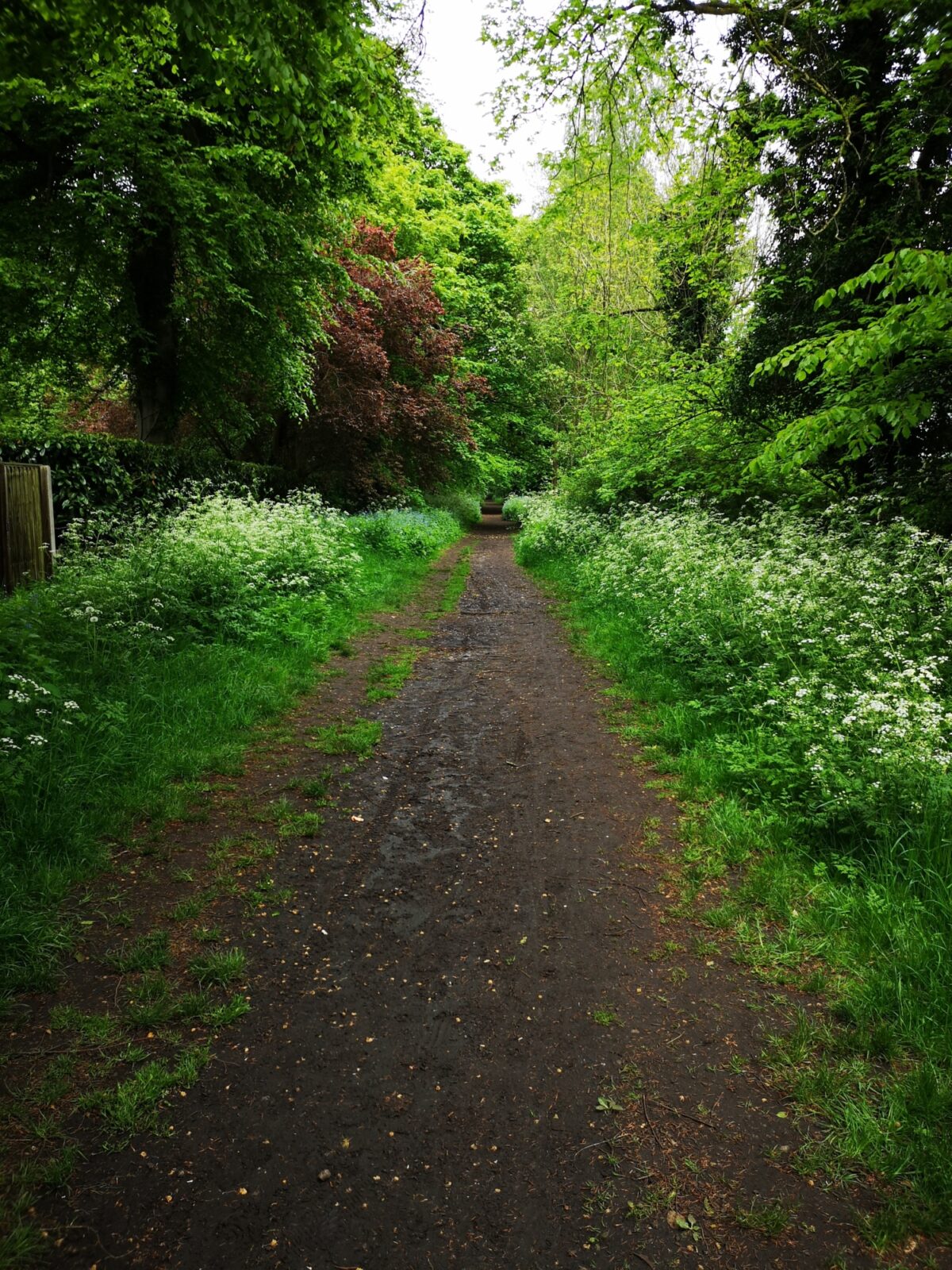 The Pinewoods and Woodhall Spa large photo 2