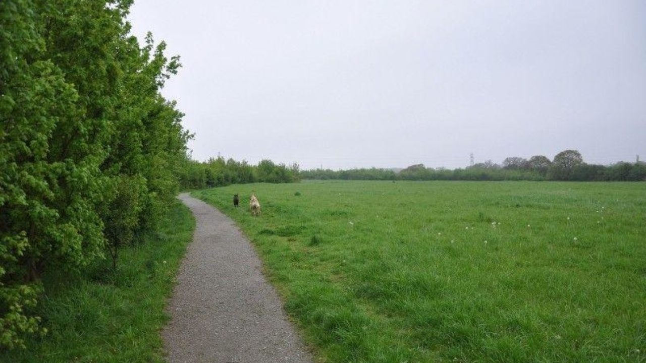 Dog walks in Essex · Walkiees