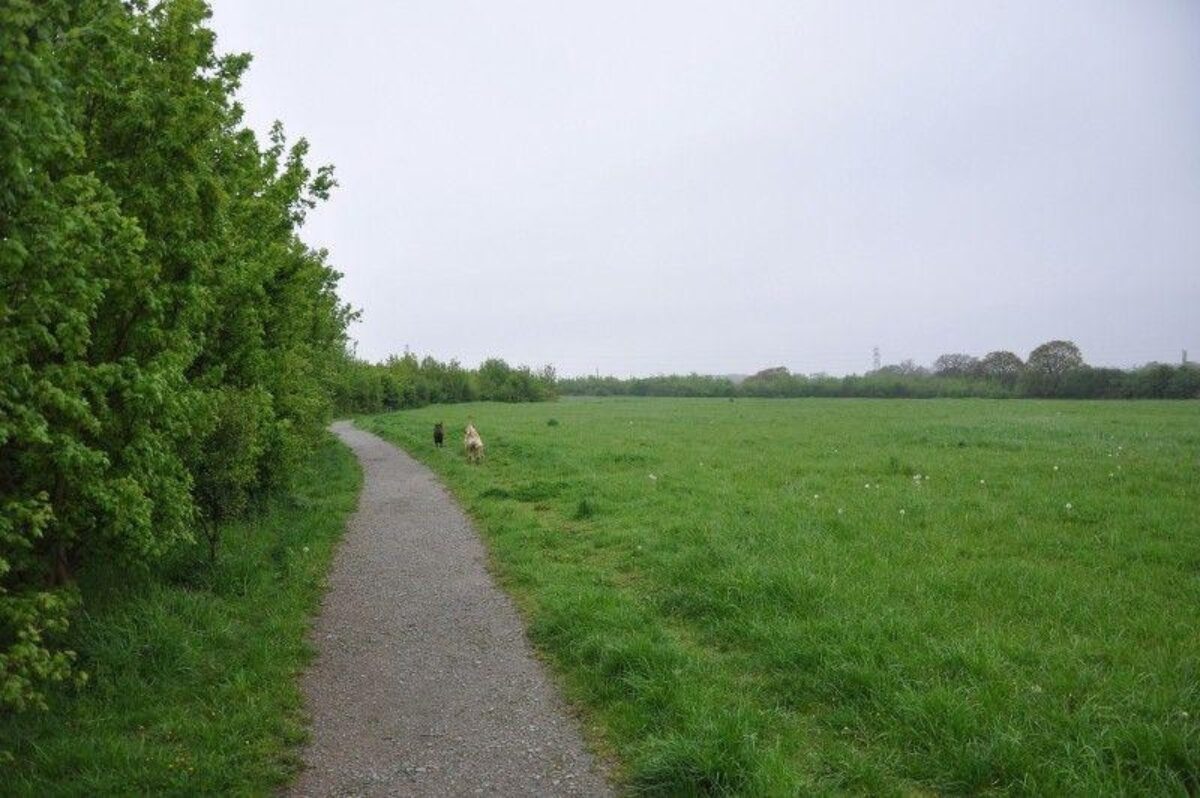 The Wick Country Park large photo 1