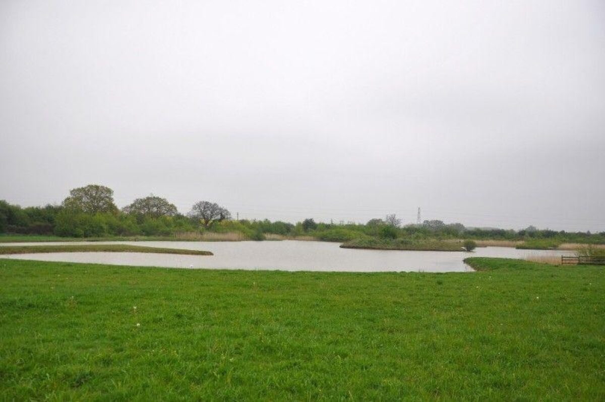 The Wick Country Park large photo 5