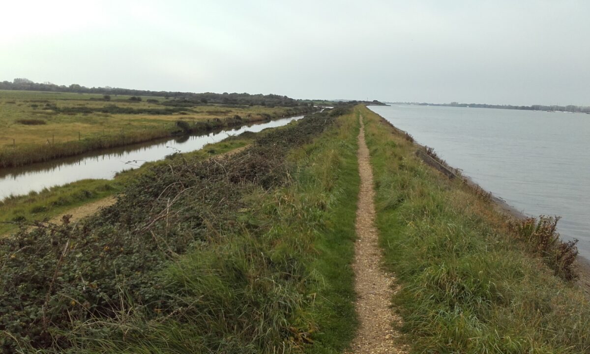 Thorney Island Shoreline Walk large photo 3