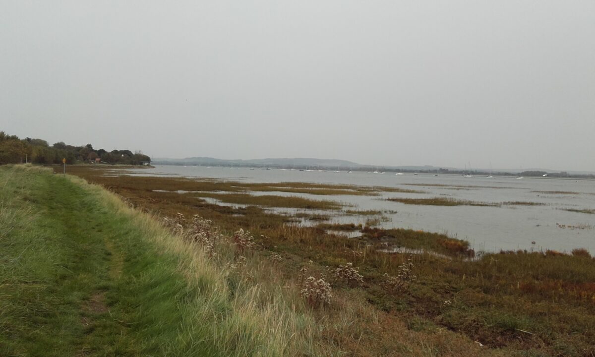 Thorney Island Shoreline Walk large photo 6