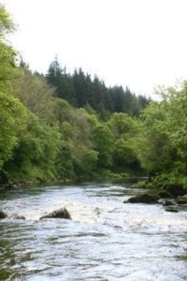 Dog walk at Thornhill and the Covenanters Graveyard · Dumfriesshire