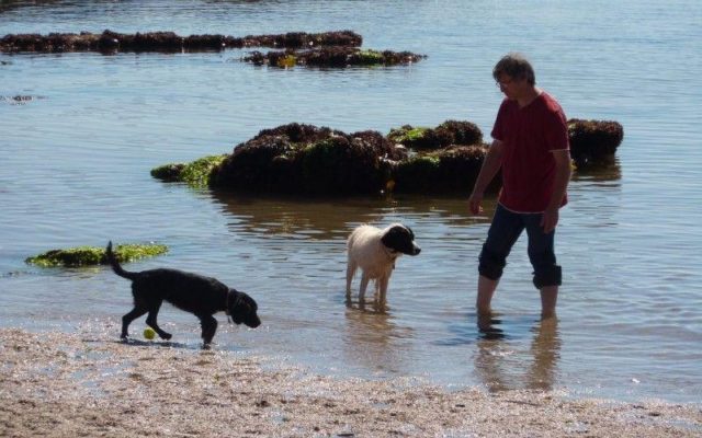 Thurlestone Beach Dog walk in Devon