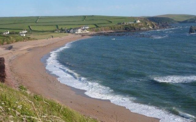 Thurlestone Beach Dog walk in Devon