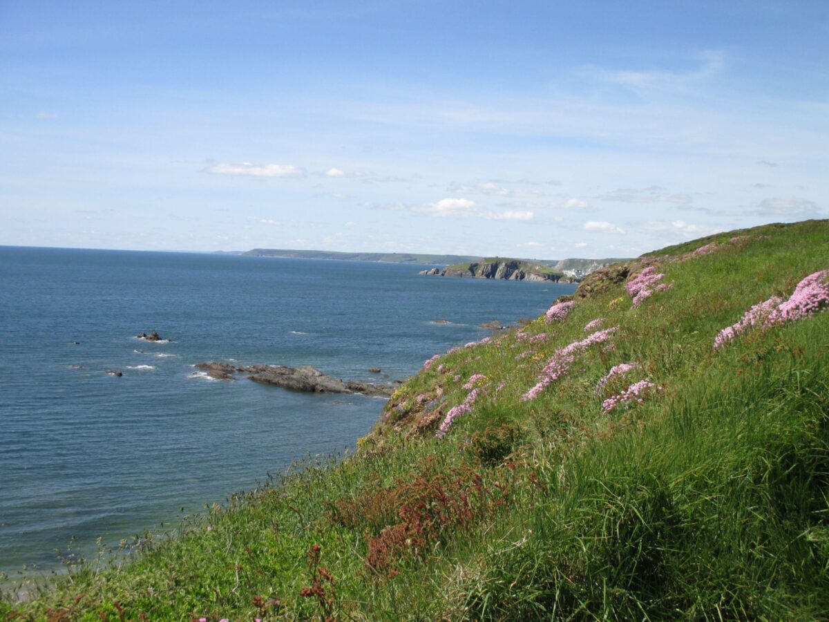 Thurlestone To Bigbury large photo 12