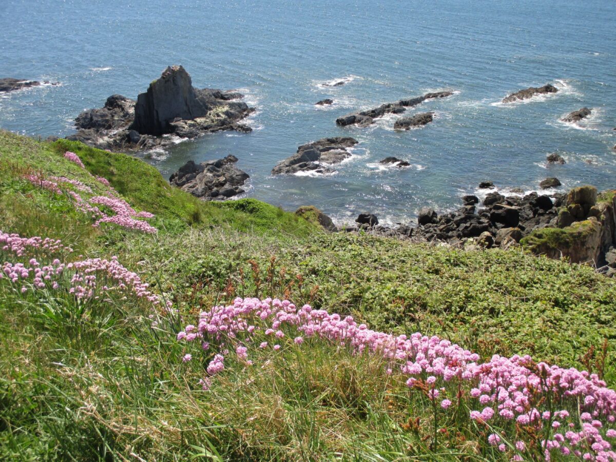 Thurlestone To Bigbury large photo 13