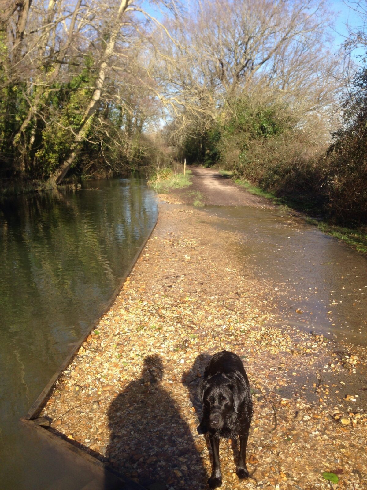 Titchfield Canal large photo 1