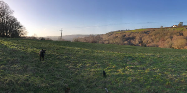 Torrington Common