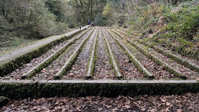 Dog walk at Tregargus Valley