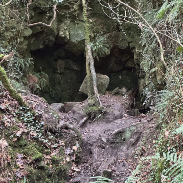 Tregargus Valley photo 2