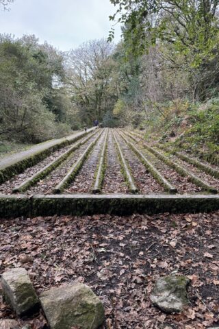 Dog walk at Tregargus Valley photo