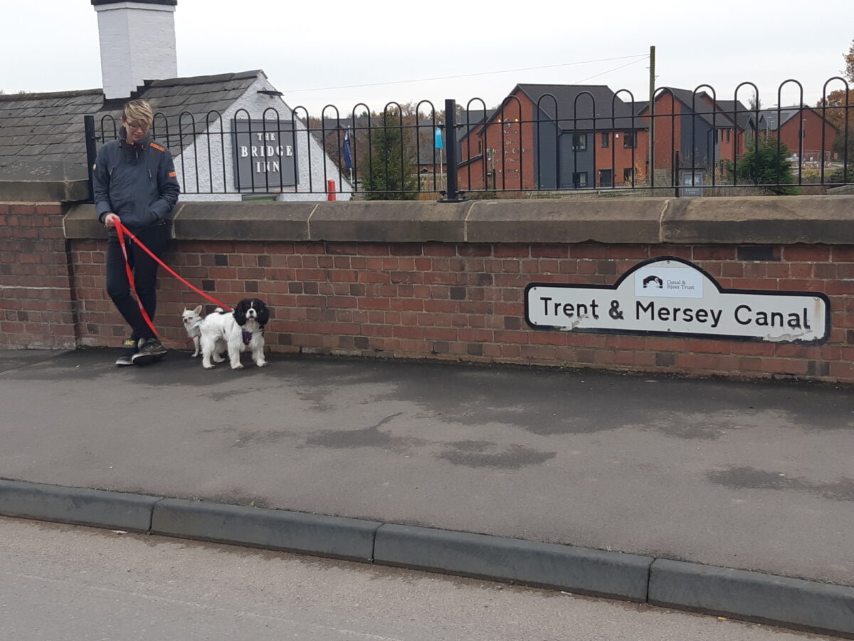 Trent & Mersey Canal Path (Burton) large photo 6