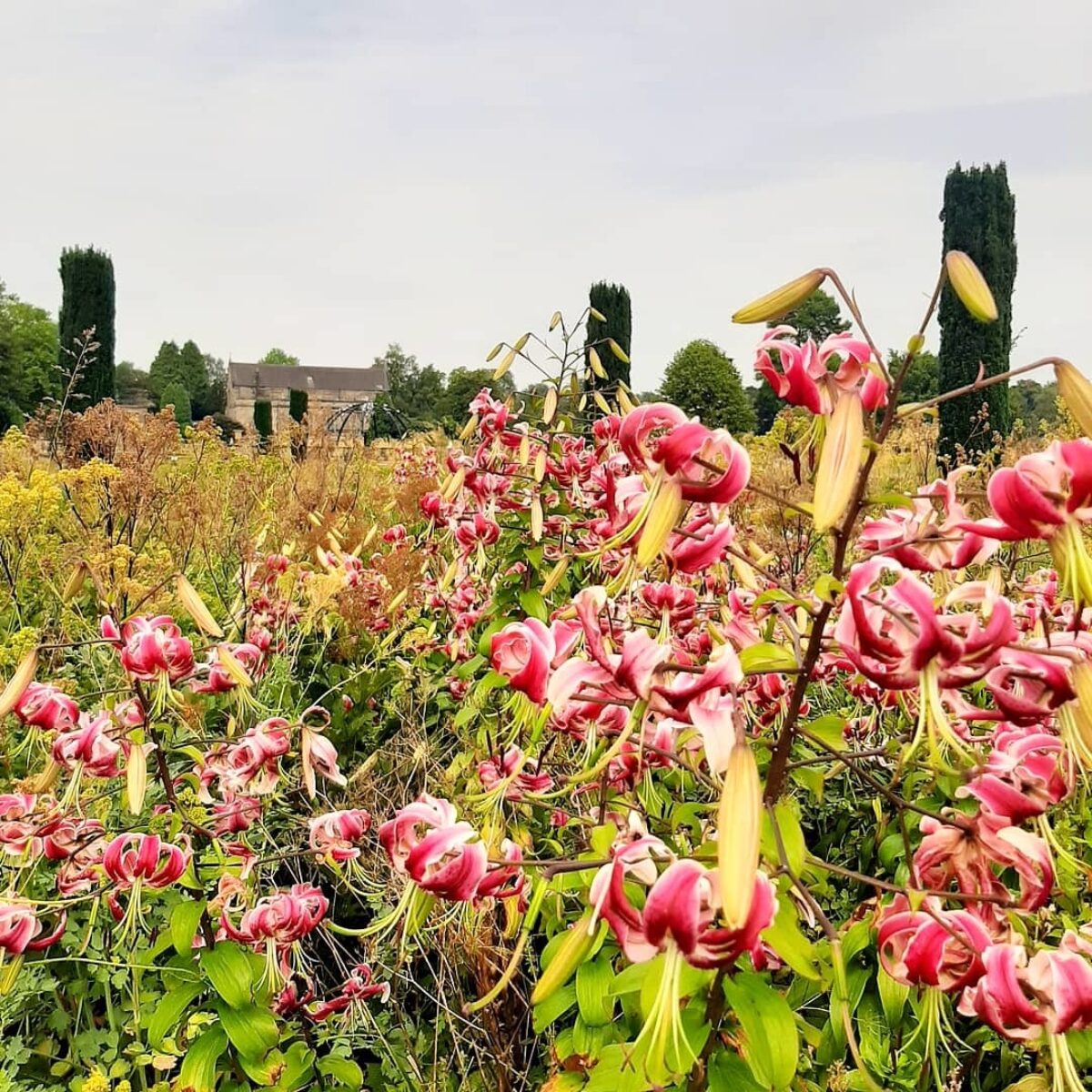 Trentham Gardens large photo 12