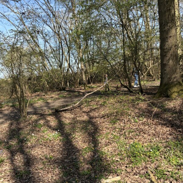 Tudeley Brook - Paddock Wood entrance photo 6
