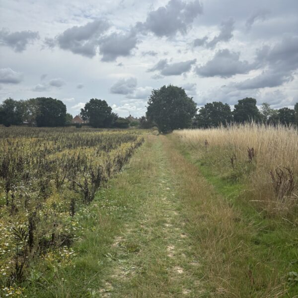 Tudeley Brook - Paddock Wood entrance photo 9