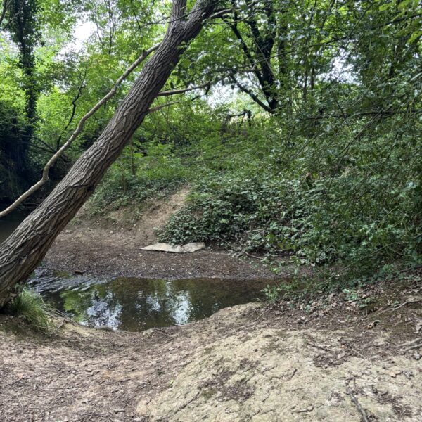 Tudeley Brook - Paddock Wood entrance photo 3