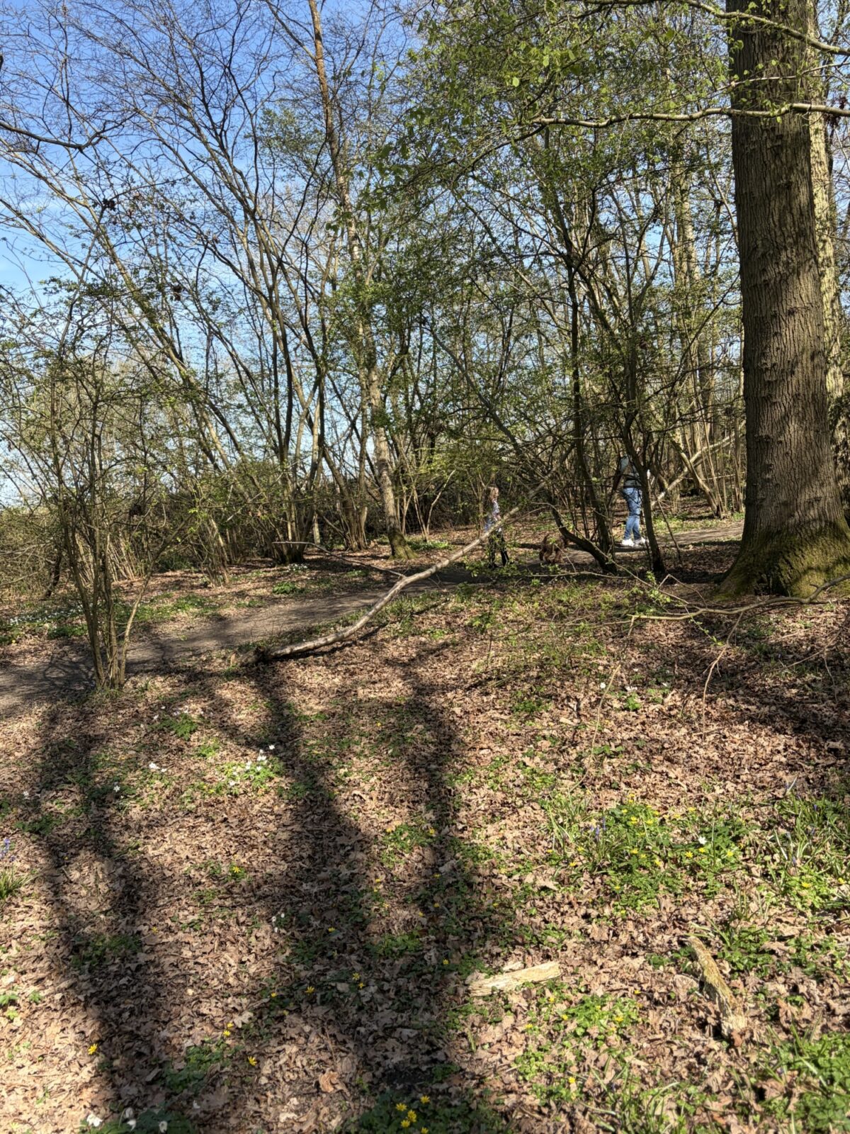 Tudeley Brook - Paddock Wood entrance large photo 6