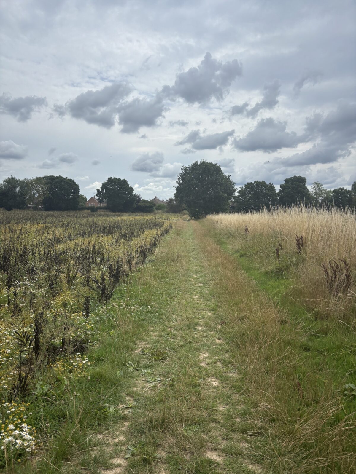 Tudeley Brook - Paddock Wood entrance large photo 9