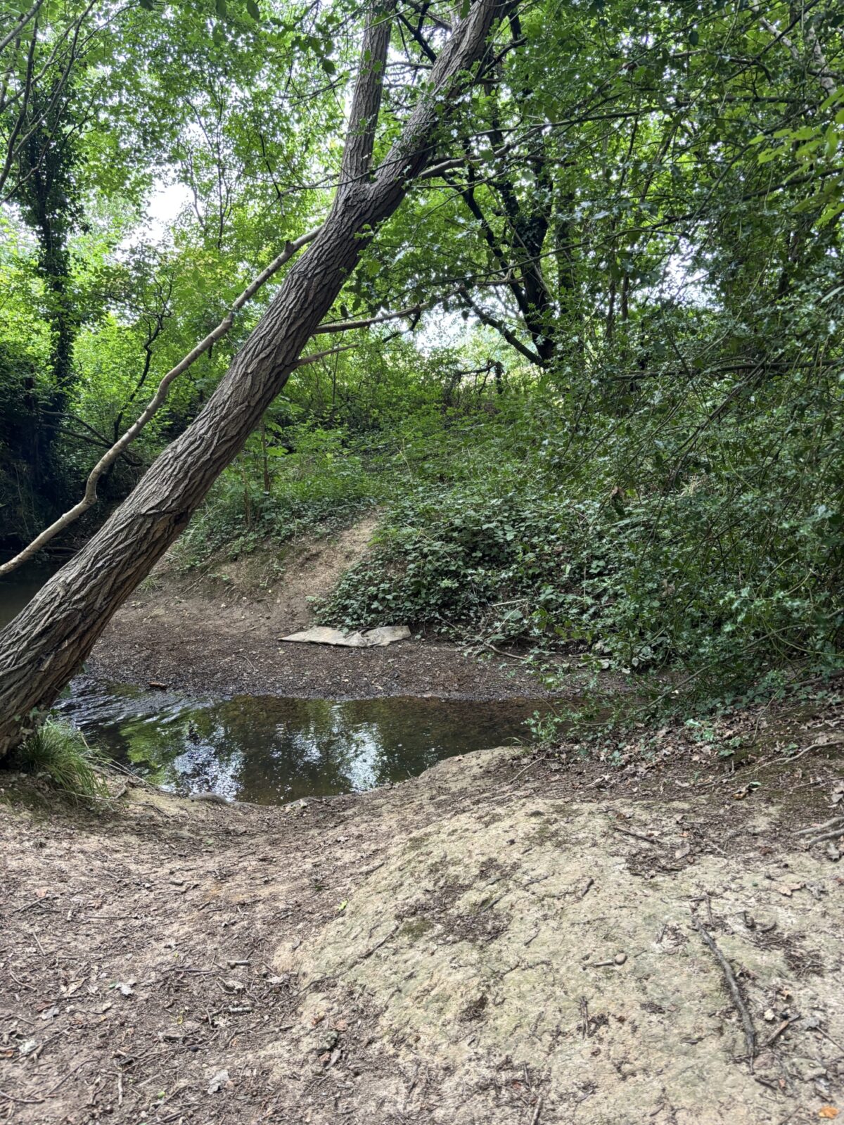 Tudeley Brook - Paddock Wood entrance large photo 3