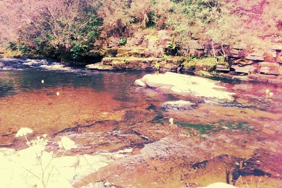 Tylerstown Dog walk at Tylerstown River Walk · Rhondda Cynon Taff · Walkiees