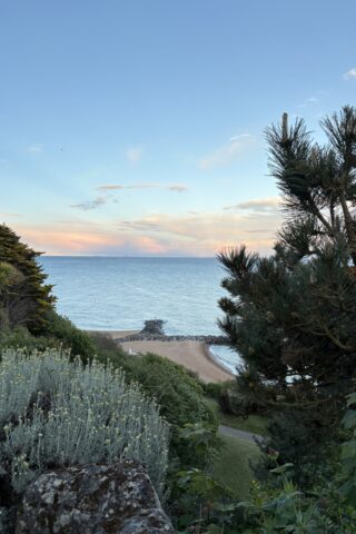 Dog walk at Upper and Lower Leas photo