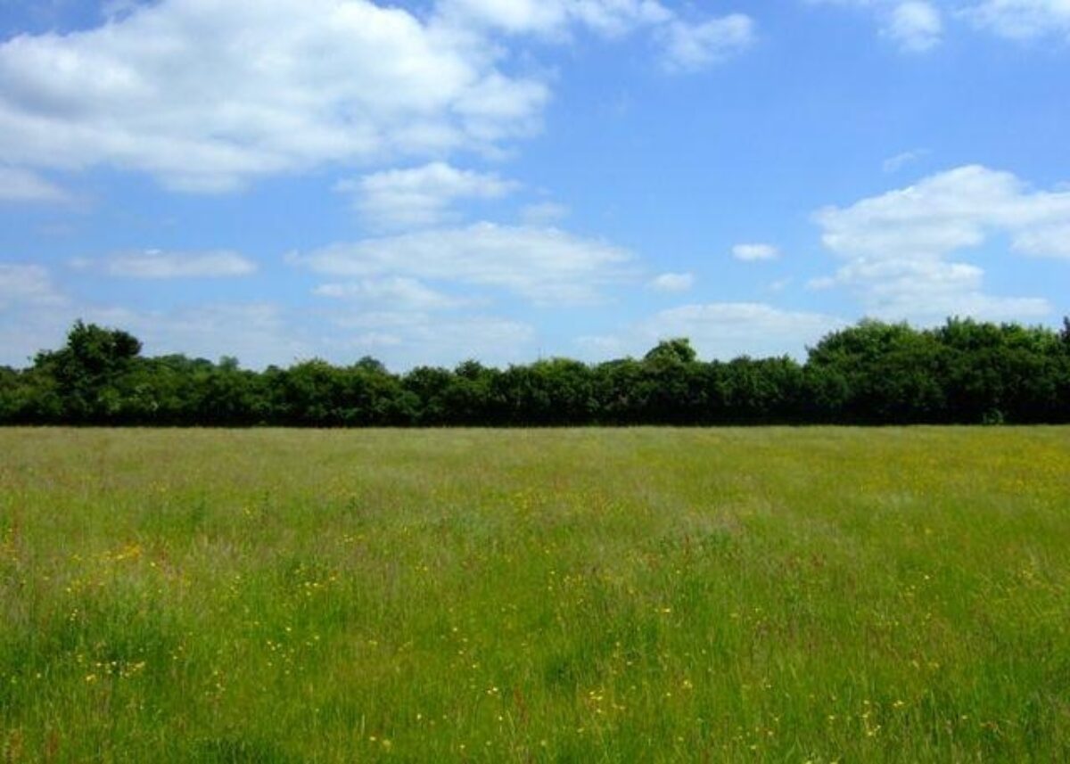 Upwood Meadows large photo 1