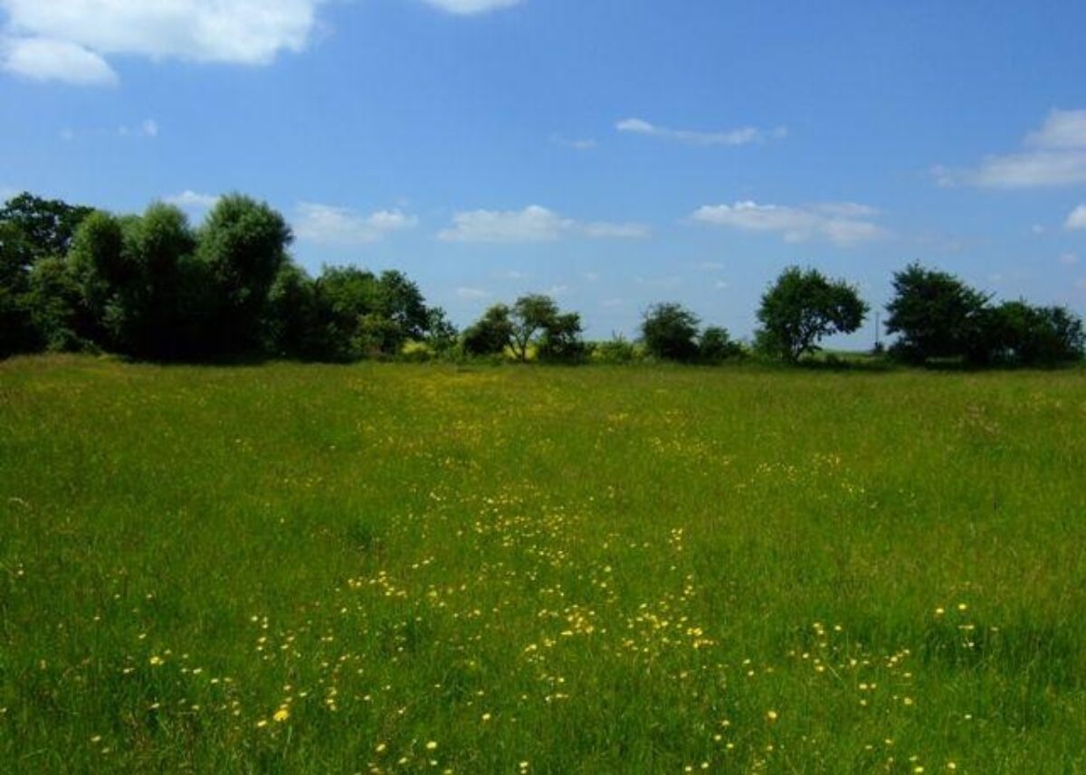 Upwood Meadows large photo 3