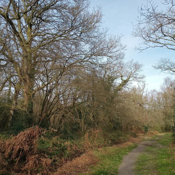 Valley Park photo 2
