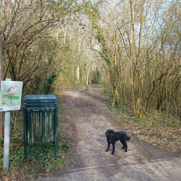 Valley Park photo 3